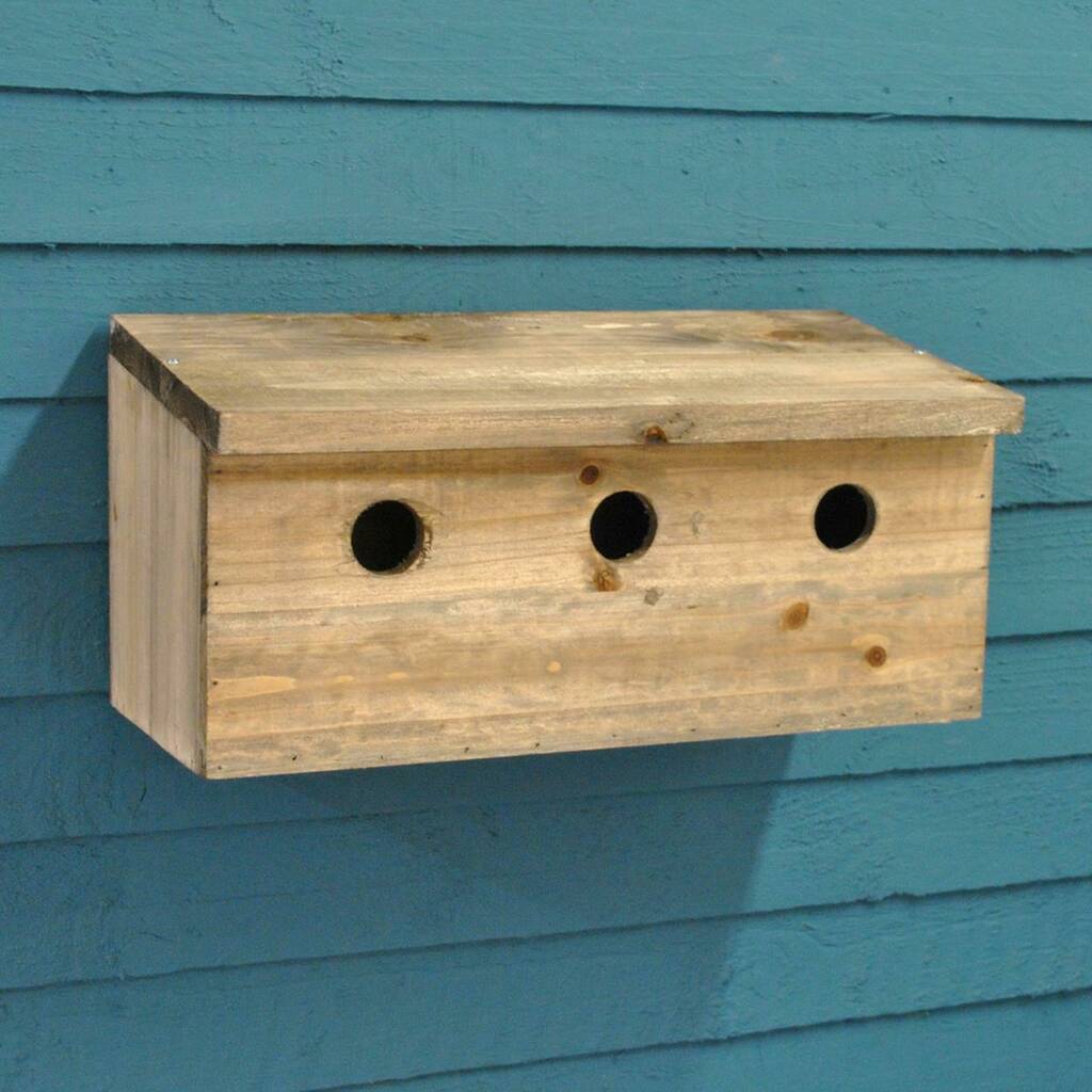 Sparrow Colony Wooden Nesting Box By Garden Selections 