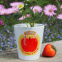 Personalised Apple Worm Plant Pot: Teacher Appreciation Gift, thumbnail 1 of 4