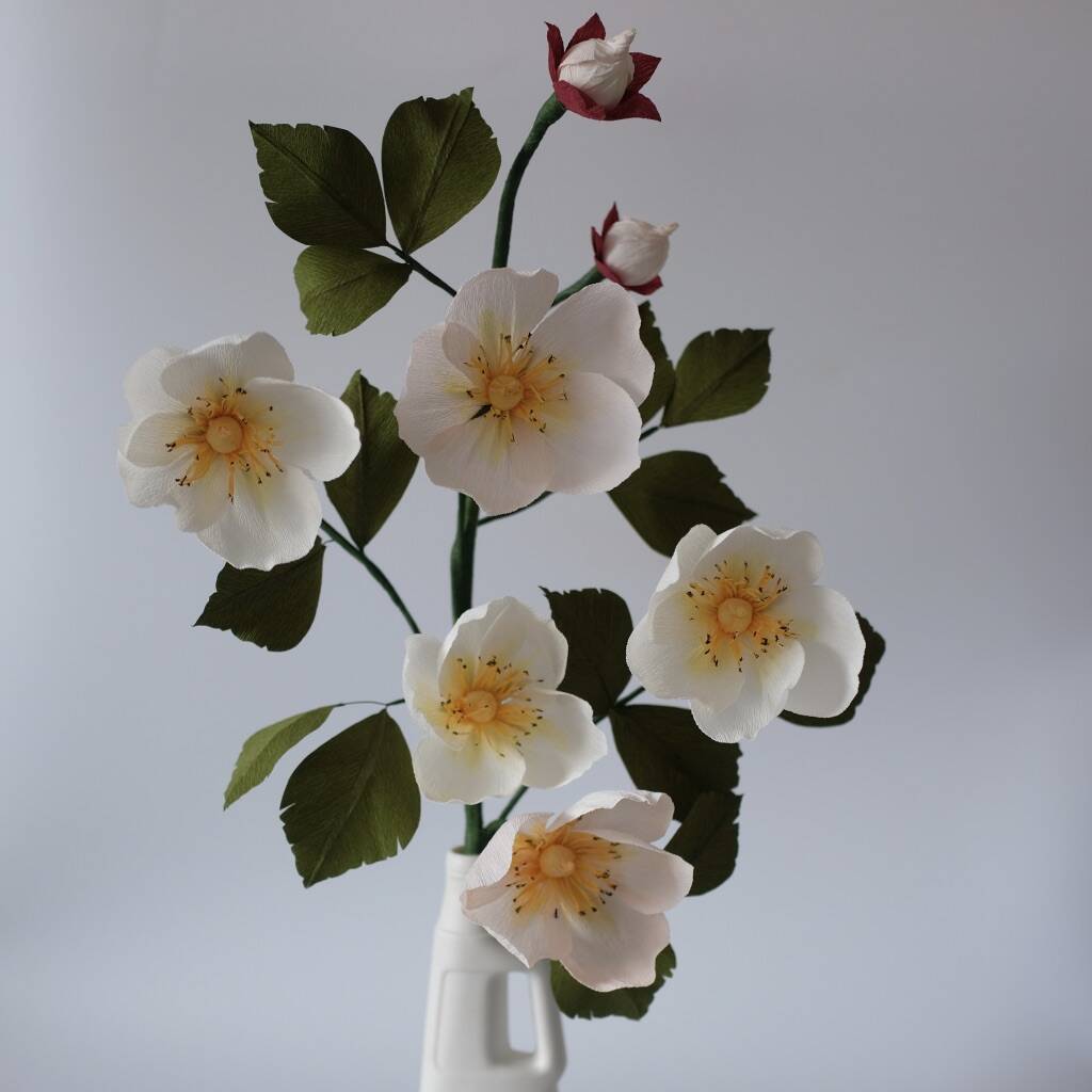 Wild Rose Paper Flower Anniversary Gift By Leo Flowers