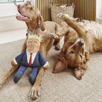 Donald Trump Parody Dog Toy, 3 of 8