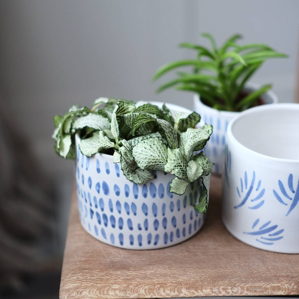Image of 'Lacuna' Handmade Ceramic Planter