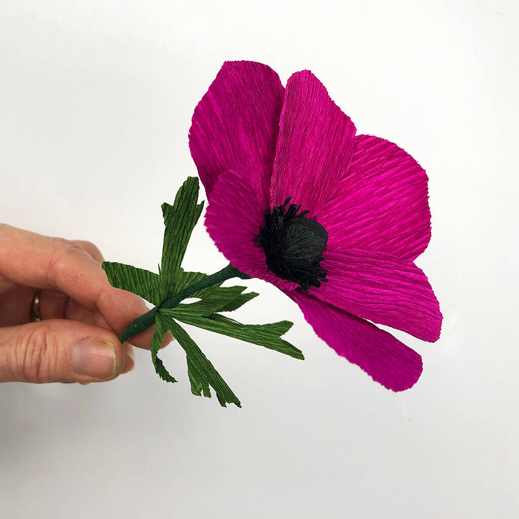 Crepe Paper Anemone Kit By Bergin & Bath