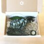 Indoor Wreath Making Preserved Foliage Kit, thumbnail 3 of 6