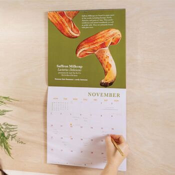 2025 Calendar | Mushroom, 2 of 8