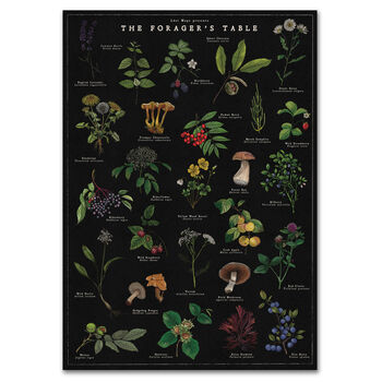Botanical Wild Food Artwork/Illustrated Foraging Print, 2 of 11