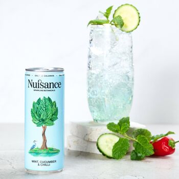 Mint, Cucumber And Chilli 12x250ml, 2 of 9