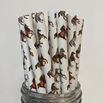 Horse Paper Drinking Straws Eco Friendly, UK, 2 of 5