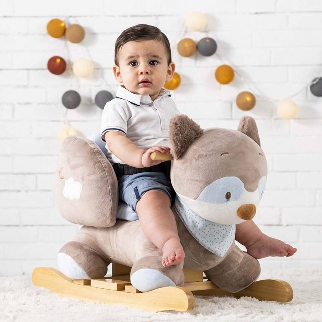 Image of Rocking Racoon 9m+