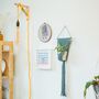 D.I.Y. Macrame Wall Plant Hanger Kit, thumbnail 6 of 8