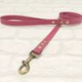 Waterproof Dog Collar And Lead Set Burgundy Ab, thumbnail 3 of 3