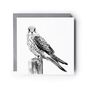 Kestrel Illustration Hand Drawn Greeting Card, thumbnail 2 of 8