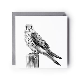 Kestrel Illustration Hand Drawn Greeting Card, 2 of 8