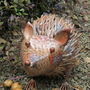 Garden Hedgehog, thumbnail 1 of 6