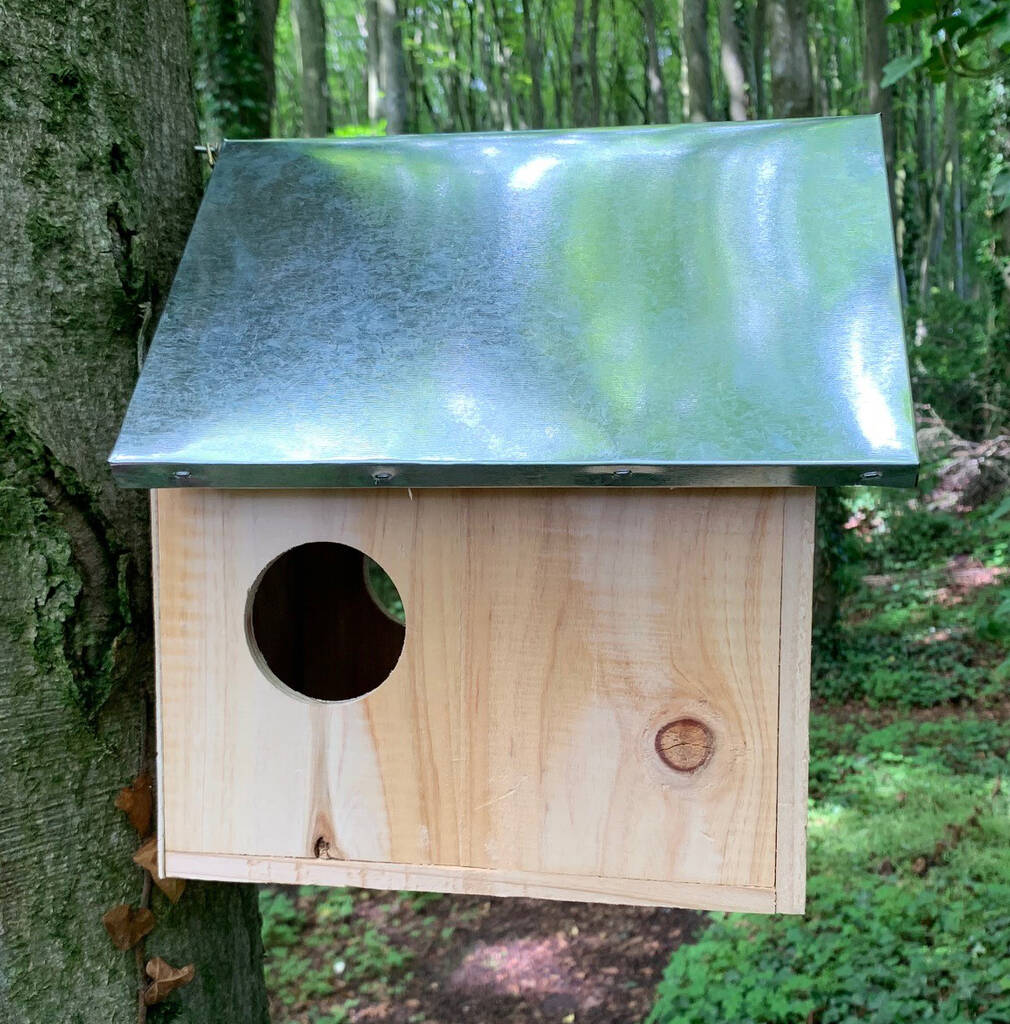 Squirrel Nest Box With Metal Roof By Garden Selections ...