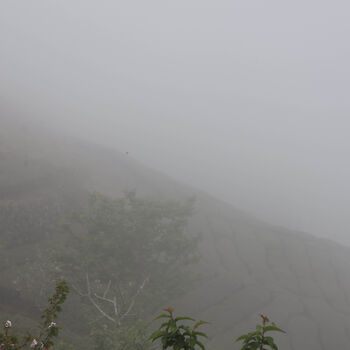 Mountain Echo Aged Oolong Loose Leaf Tea, 5 of 5