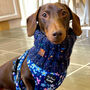 Blue Confetti Roll Top Dog Snood, thumbnail 1 of 4