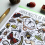 Garden Insects Of Britain Greeting Card, thumbnail 4 of 12