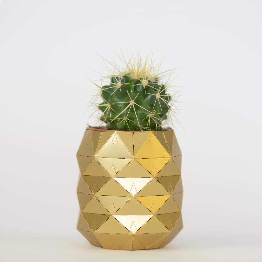 pineapple plant pot by another studio