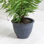 Faux Green Fern Plant In Grey Pot, thumbnail 3 of 3