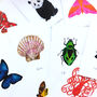 Scallop Shell A6 Greetings Cards, thumbnail 5 of 7