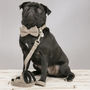 Beaufort Tweed Dog Collar Bow Tie Lead Set, thumbnail 6 of 6