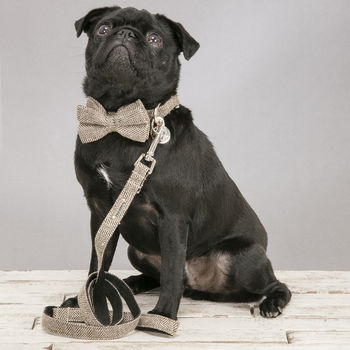 Beaufort Tweed Dog Collar Bow Tie Lead Set, 6 of 6