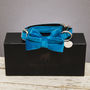 Blue Turquoise Velvet Dog Collar Bow Tie, thumbnail 2 of 5