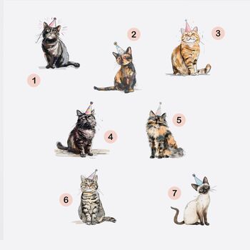 Personalised Birthday Excited Cat Card *Various Cat Breeds, 2 of 8