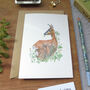 Roe Deer Greetings Card, thumbnail 9 of 9