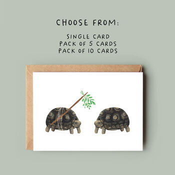 Mistletoe Tortoise Christmas Cards, 6 of 10