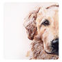 Personalised Painted Pet Portrait, thumbnail 2 of 11
