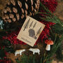 10 Eco Friendly Seed Packet Christmas Cards, thumbnail 1 of 1