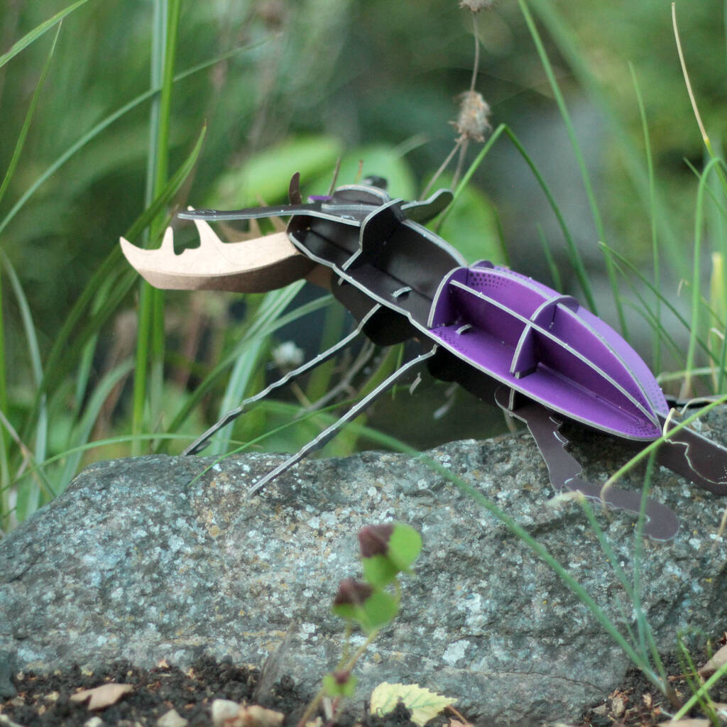 Build Your Own Personalised Stag Beetle, 1 of 9