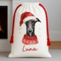 Personalised Greyhound Santa Sack, thumbnail 1 of 3