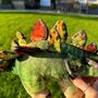 Large Colourful Stegosaurus Cuddly Toy, thumbnail 2 of 4