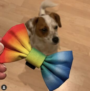 Rainbow Ombre Dog Bow Tie, 10 of 10