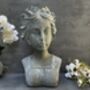 38cm Grey Female Bust Statue Elegant Lady Head Decor, thumbnail 1 of 12