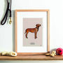Fox Red Labrador Personalised Fine Art Print, thumbnail 1 of 4