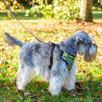 Jungle Green Leaves Adjustable Dog Harness, 9 of 12