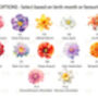 Personalised Birthday Flower Keepsake | Custom Acrylic Block For Her, thumbnail 2 of 2
