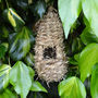 Small Bird House And Nesting Materials Set, thumbnail 3 of 5
