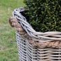 Square Lined Rattan Planter With Rope Handle, thumbnail 2 of 3