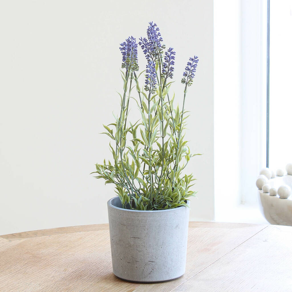 artificial lavender plant by marquis & dawe