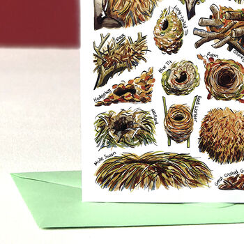 Nests Of Britain Greeting Card, 3 of 7