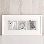 Story Of Our Pets Illustration, thumbnail 1 of 11