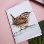 Inky Wren Notebook, thumbnail 5 of 8