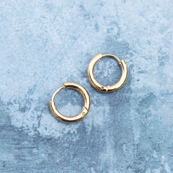 Tiny Thick Hinged Gold Hoop Earrings By Regalrose Tiny Thick Hinged Gold Hoop Earrings