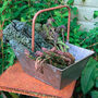 Zinc Garden Trug 25cm W/ Handle, thumbnail 2 of 5