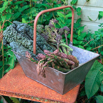 Zinc Garden Trug 25cm W/ Handle, 2 of 5