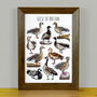 Geese Of Britain Wildlife Print, thumbnail 1 of 9